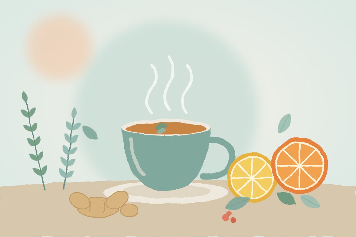 Illustration : tasse de tisane fumante, citron, orange, gingembre et plantes médicinales